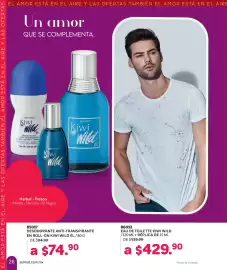 Catálogo Zermat Página 26