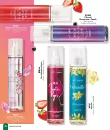 Catálogo Zermat Página 42