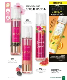 Catálogo Zermat Página 43