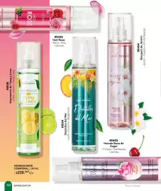 Catálogo Zermat Página 44