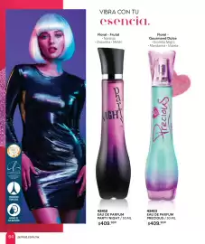 Catálogo Zermat Página 64