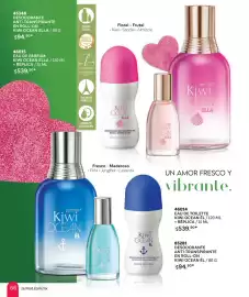 Catálogo Zermat Página 66