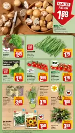 REWE DE tilbudsavis uge 6 Side 5