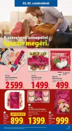 Lidl akciós újság hét 6 Oldal 17