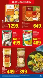 Lidl akciós újság hét 6 Oldal 65