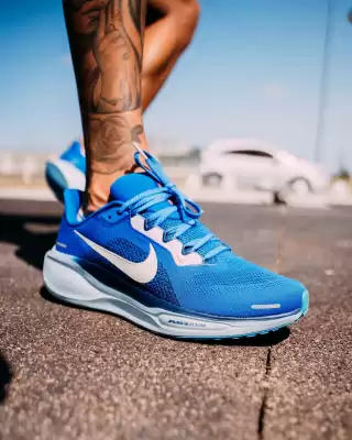 Revista Authogar (válido hasta 6-02)