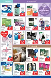 Budni Prospekt woche 7 Seite 5