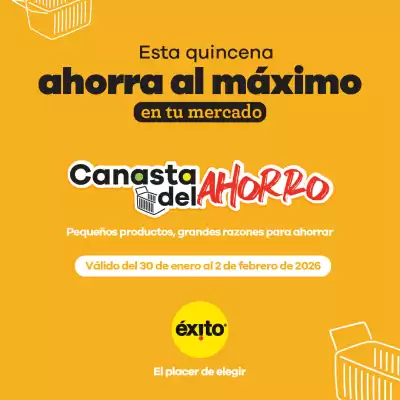 Catálogo Éxito (válido hasta 2-02)