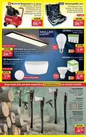 Zimmermann Prospekt woche 6 Seite 6