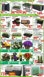 Wreesmann Prospekt woche 6 Seite 3