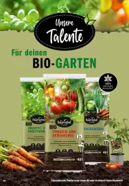Toom Baumarkt Prospekt Seite 20