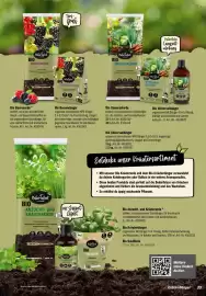 Toom Baumarkt Prospekt Seite 23