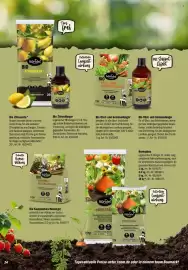 Toom Baumarkt Prospekt Seite 24