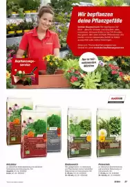 Toom Baumarkt Prospekt Seite 27