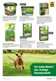 Toom Baumarkt Prospekt Seite 33