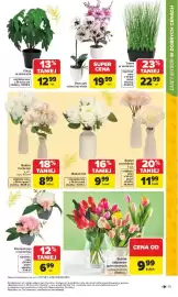 Carrefour gazetka Strona 15