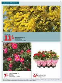 Catalogue Auchan page 40