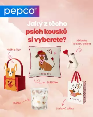 Pepco leták (platné do 6-02)