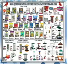 Ocean State Job Lot flyer week 5 Page 11