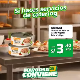 Catálogo Mayorsa semana 5 Página 5