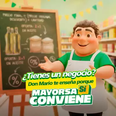 Catálogo Mayorsa (válido hasta 5-02)