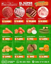 Catálogo Autoservicio El Jardín Página 3