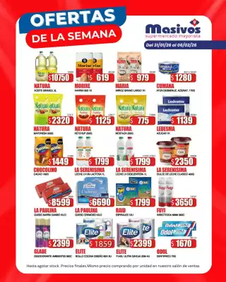 Catálogo Masivos (válido hasta 6-02)