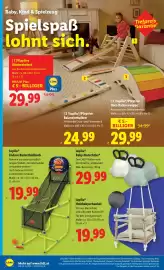 Lidl Flugblatt woche 6 Seite 24