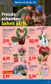 Lidl Flugblatt woche 6 Seite 27