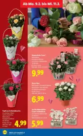 Lidl Flugblatt woche 6 Seite 30