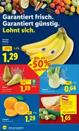 Lidl Flugblatt woche 6 Seite 36