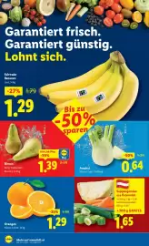 Lidl Flugblatt woche 6 Seite 36