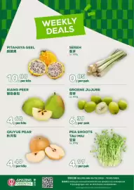 Amazing Oriëntal folder week 6 Pagina 1