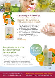 De Rode Pilaren folder Pagina 8