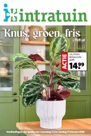 Intratuin folder week 6 Pagina 1