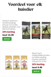 Intratuin folder week 6 Pagina 11