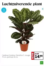 Intratuin folder week 6 Pagina 2