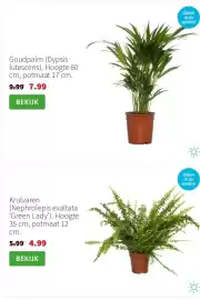 Intratuin folder week 6 Pagina 3