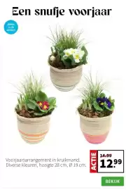 Intratuin folder week 6 Pagina 4