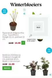 Intratuin folder week 6 Pagina 5