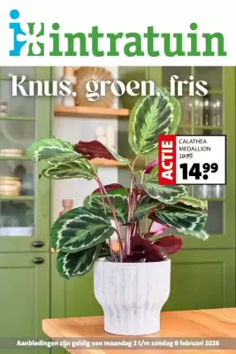 Intratuin folder (geldig t/m 8-02)