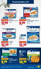 Lidl gazetka Strona 21