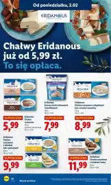 Lidl gazetka Strona 24