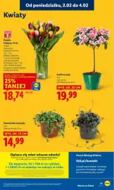 Lidl gazetka Strona 51
