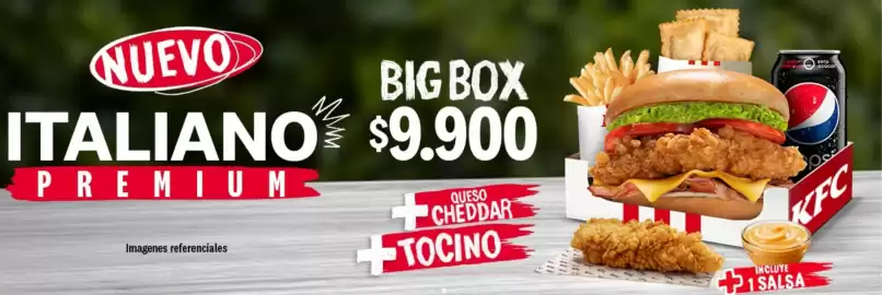 Catálogo KFC Página 2