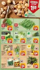 REWE Prospekt woche 6 Seite 9