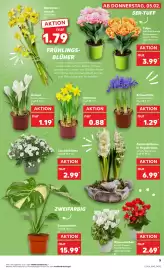 Kaufland Prospekt woche 6 Seite 5