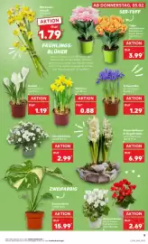 Kaufland Prospekt woche 6 Seite 5