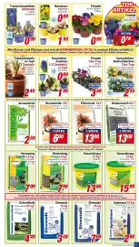 CENTERSHOP Prospekt woche 6 Seite 5