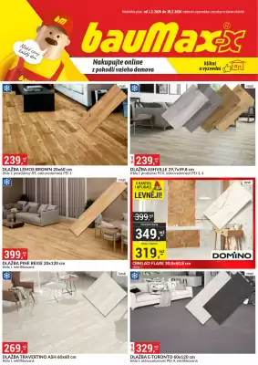 Baumax leták (platné do 28-02)